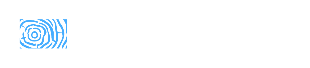 Lemn Iasi Logo